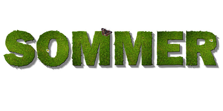 Sommer Schrift aus Gras, wei&szlig;er Hintergrund