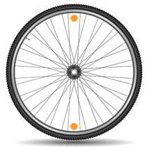 Wheel of bicycle