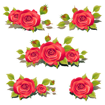 vintage roses vector