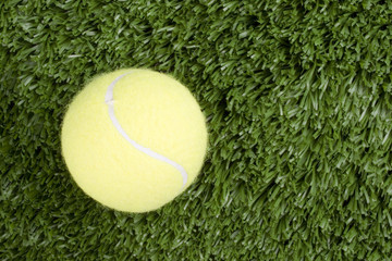 Tennis ball and grass