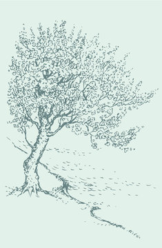 Vector  sketch blossoming spring tree on the river bank