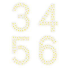 Figures 3456 composed from daisy flowers.