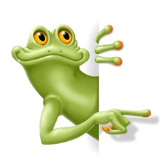 Obraz na płótnie Canvas plakat żaba
