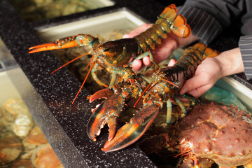 living marine cancer in hand restaurateur