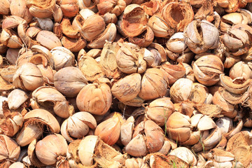 Pile of discarded coconut husks