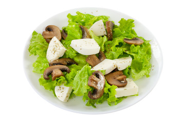 salad mushrooms with mozzarella on the plate on white background