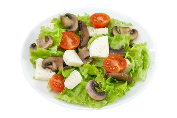 salad mushrooms with mozzarella and tomato
