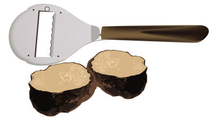 tartufo nero