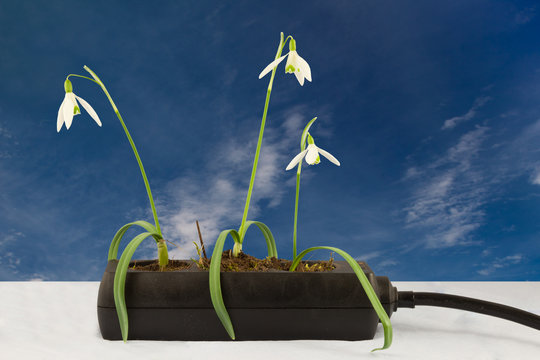&Ouml;kofr&uuml;hling