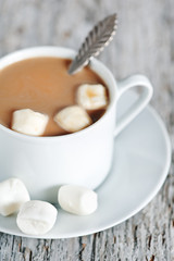 Fototapeta na wymiar Gorąca czekolada z marshmallow