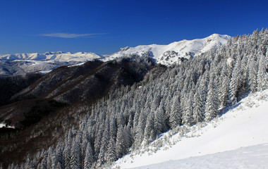 Winter in the mountains