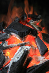 fuego hoguera brasa 2024f