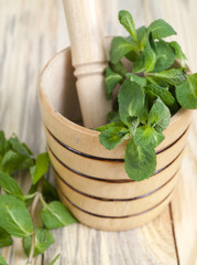 mint and mortar