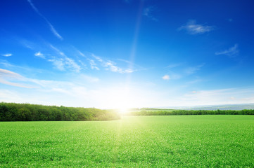 sunrise over a green field