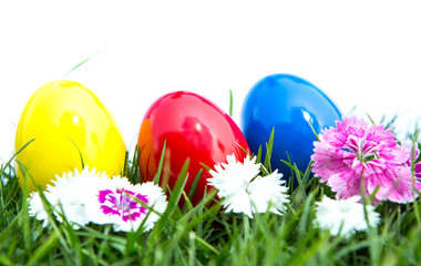 Easter eggs on green grass over white background