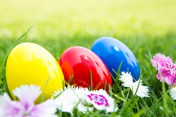 Easter eggs on green grass with flower