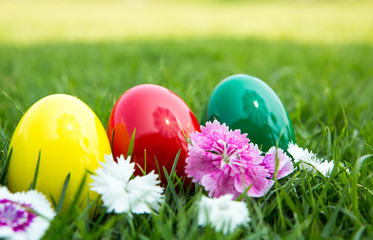 Easter eggs on green grass with flower