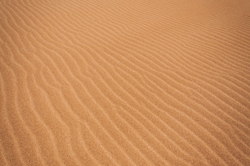 Interesting ripple pattern in desert sand