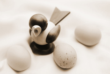 Vogel Eier