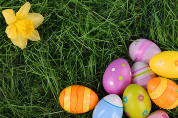 Fototapeta na wymiar Bunte Ostereier auf Wiese - Easter eggs on Grass