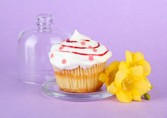 Cupcake on saucer with glass cover, on color background