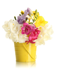 Beautiful bouquet of freesias in pail, isolated on white