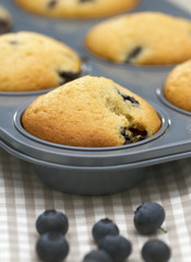 Blueberry Muffins