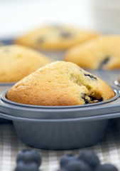 Blueberry Muffins
