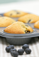 Fototapeta premium Blueberry Muffins