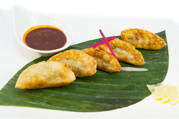 Japanese dumplings with lettuce on white background 