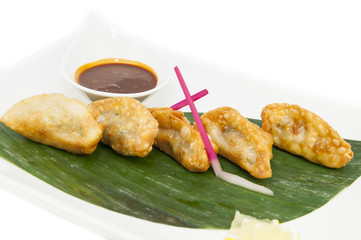 Japanese dumplings with lettuce on white background 