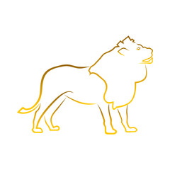 Lion Vector
