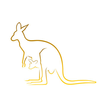 Kangaroo Vector