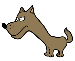 Funny dog