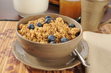 Granola with fresh blueberries