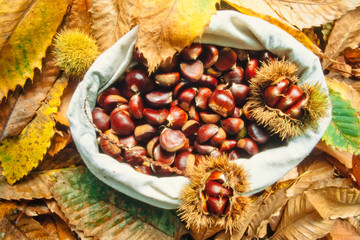 Bag of delicious chestnuts with leaves and husks