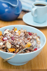 Chocolate granola with nuts, dried fruit and milk closeup