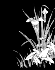 Crédence de cuisine en verre imprimé Fleurs noir et blanc Tige de plante