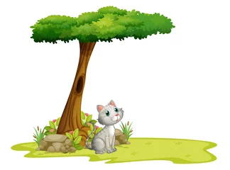  Een kat onder een boom © GraphicsRF