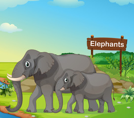Een kleine en grote olifant met een uithangbord