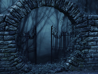 Dark Night © olbor