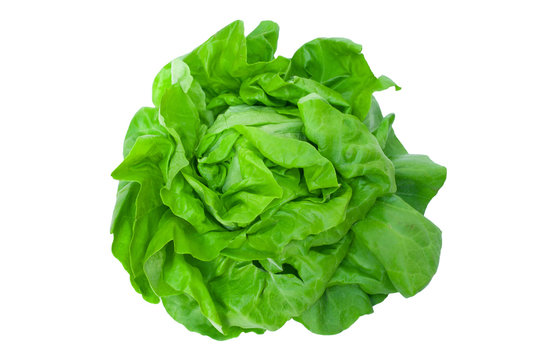 Separated fresh green salad with white backround