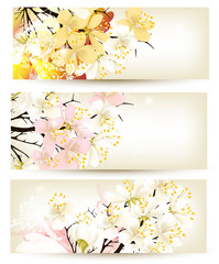 Collection of flower vector backgrounds