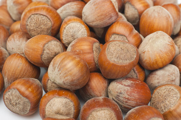 Hazelnuts