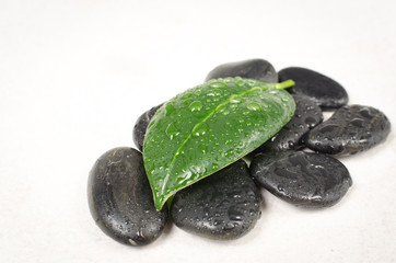 Zen basalt stones with leaf