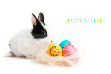 Easter greeting card with easter bunny and eggs in nest