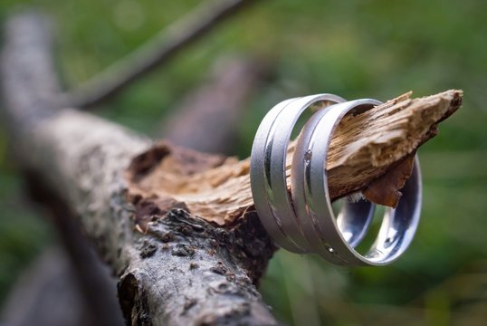 Beautiful wedding rings