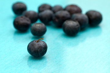 blueberries on a blue background
