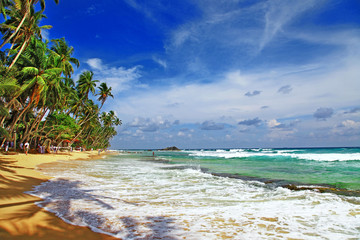 wild beaches of Ceylon