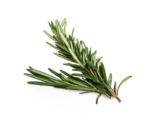 bunch of rosemary isolated on white background